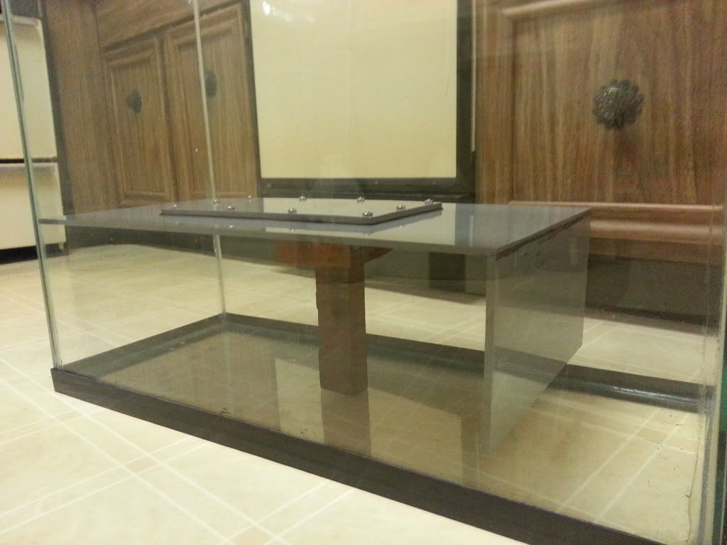 Underwater Air Pocket? | MonsterFishKeepers.com